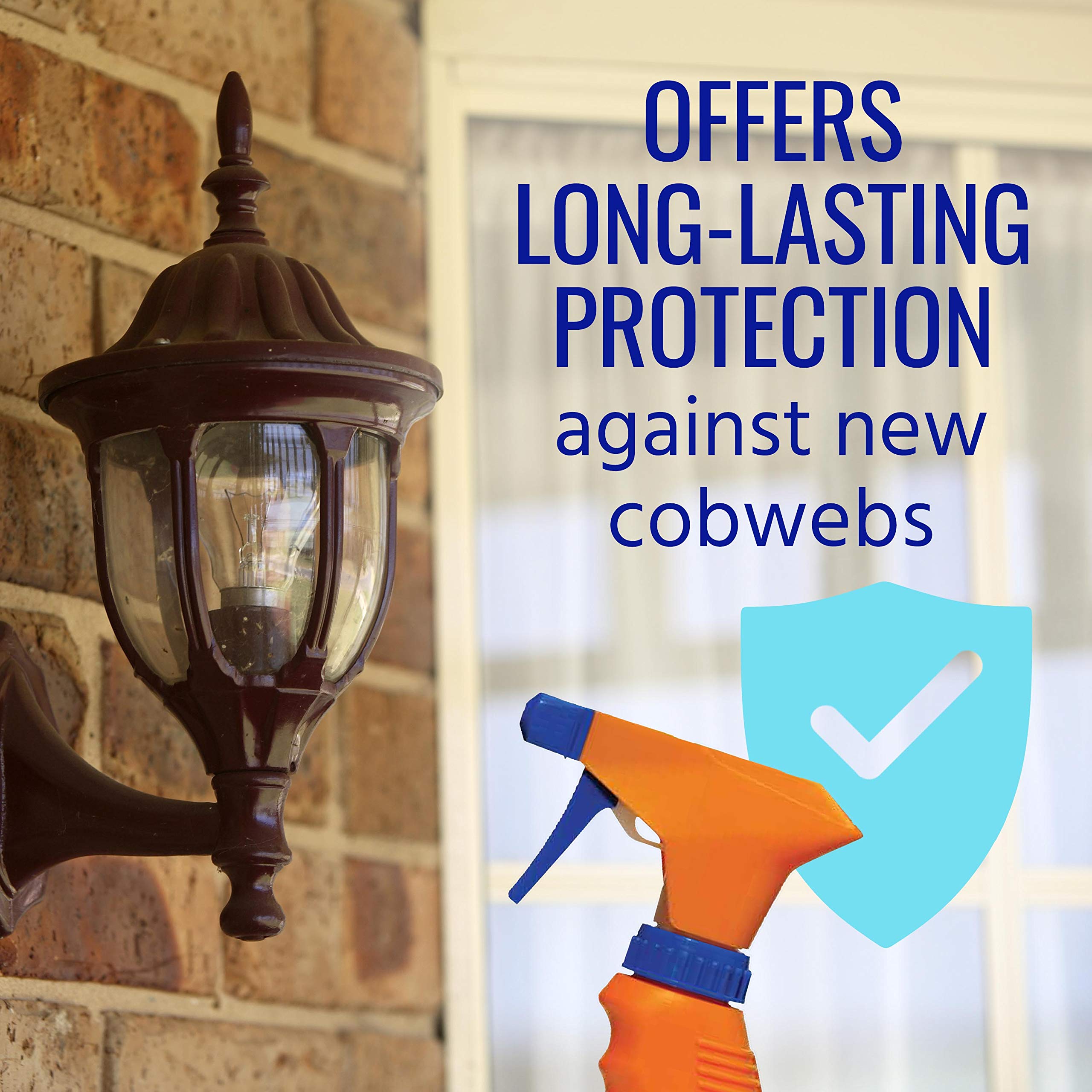 Outdoor wall area being treated with TERRO Cobweb Eliminator to deter webs.