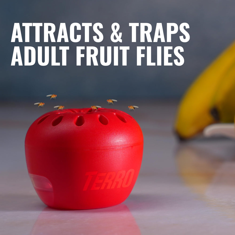 Terro indoor trap's apple-shaped design blends with fruit.