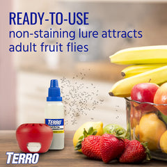 Terro trap built-in windows for easy lure monitoring.