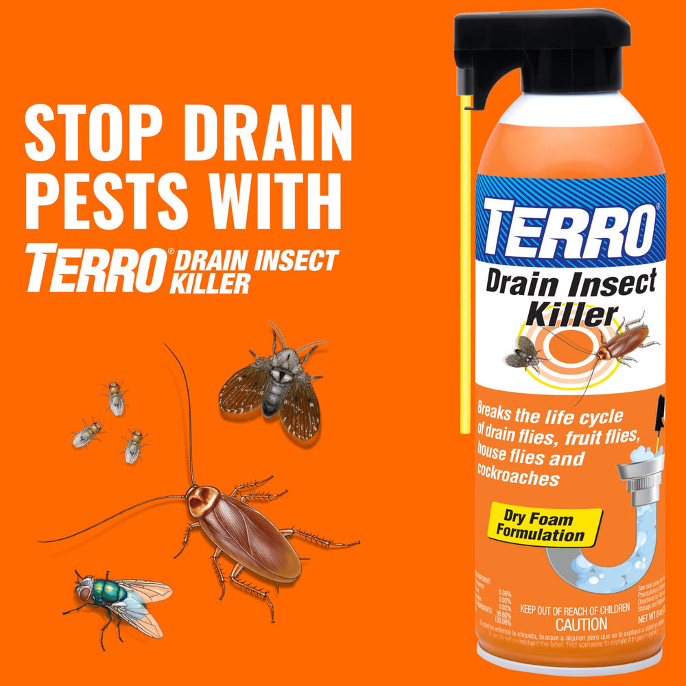 Terro trap with built-in window allows quick catching checks.