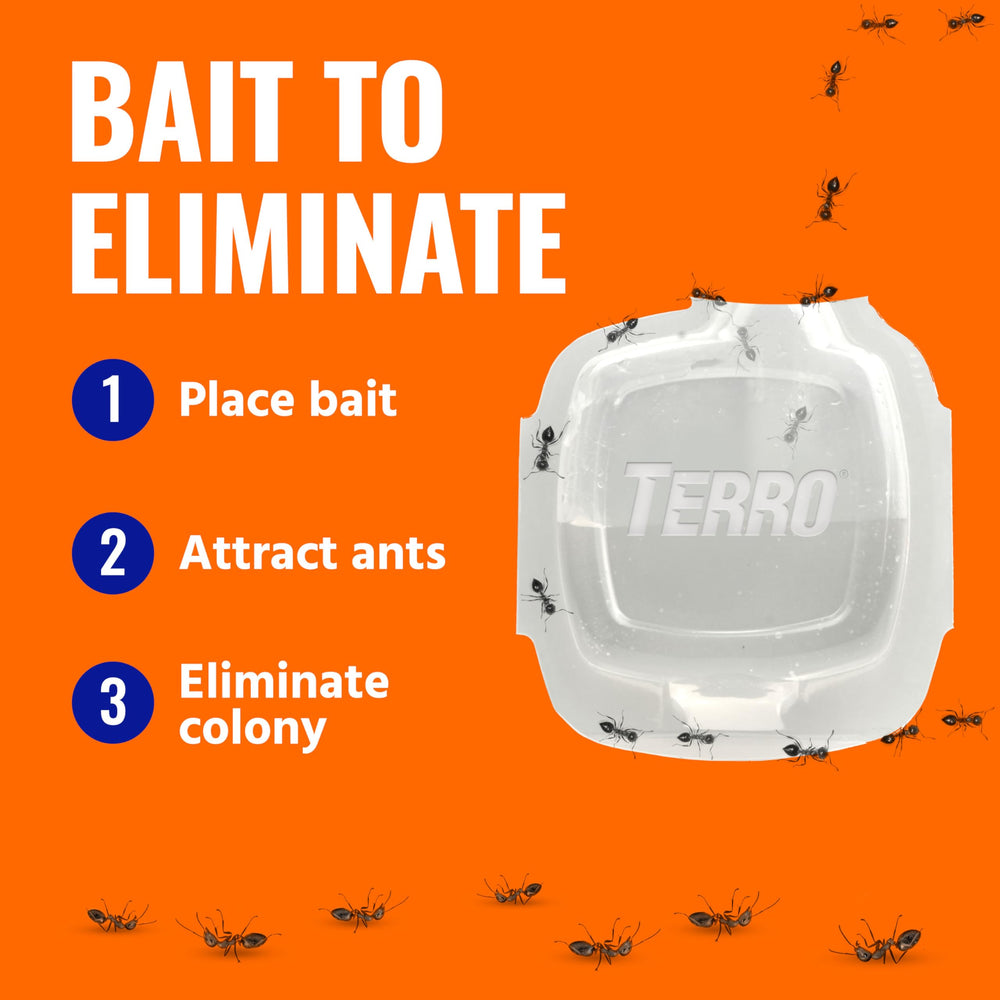 Terro liquid bait effective on multiple indoor surfaces.
