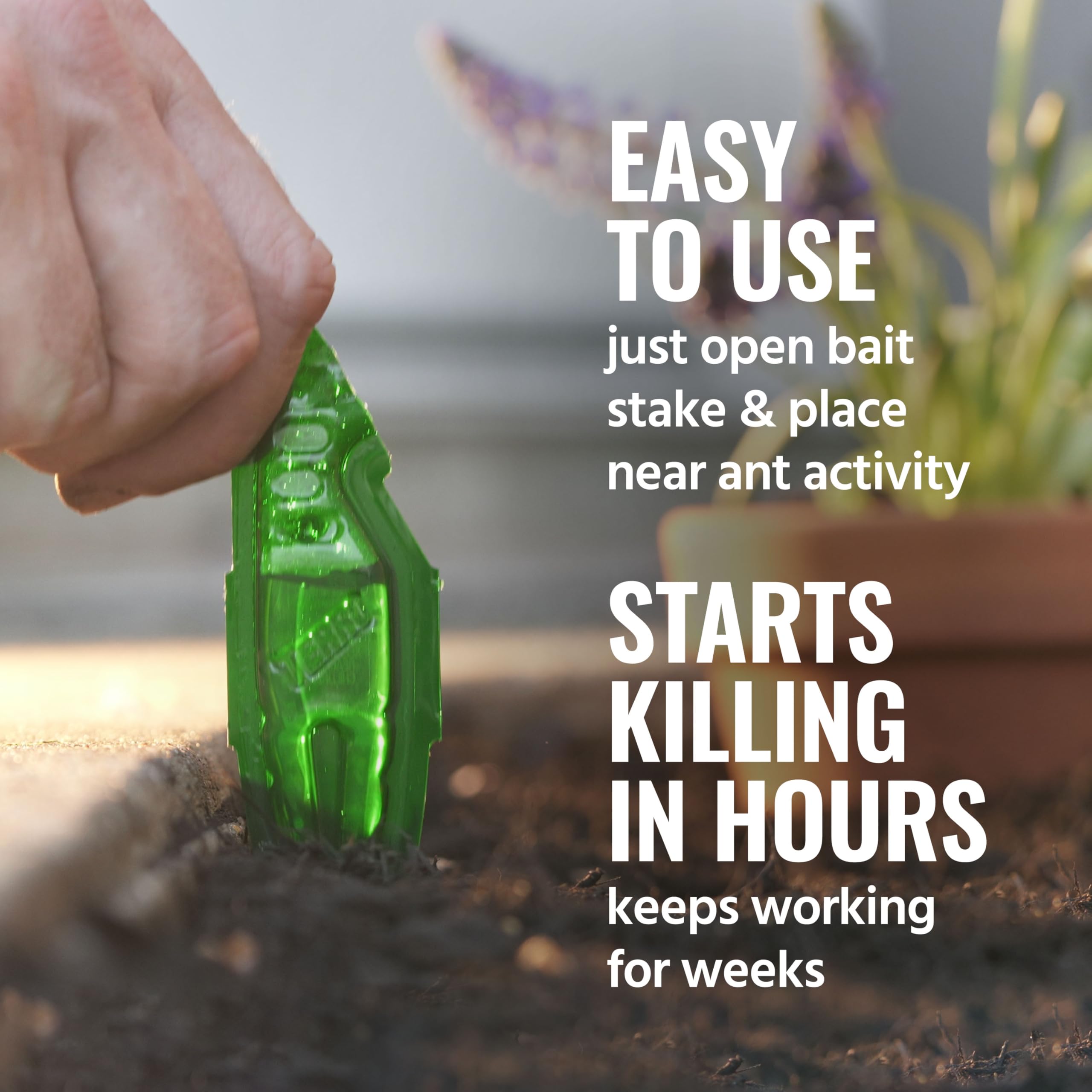 TERRO see-through bait monitor window shows bait status and replacement needs
