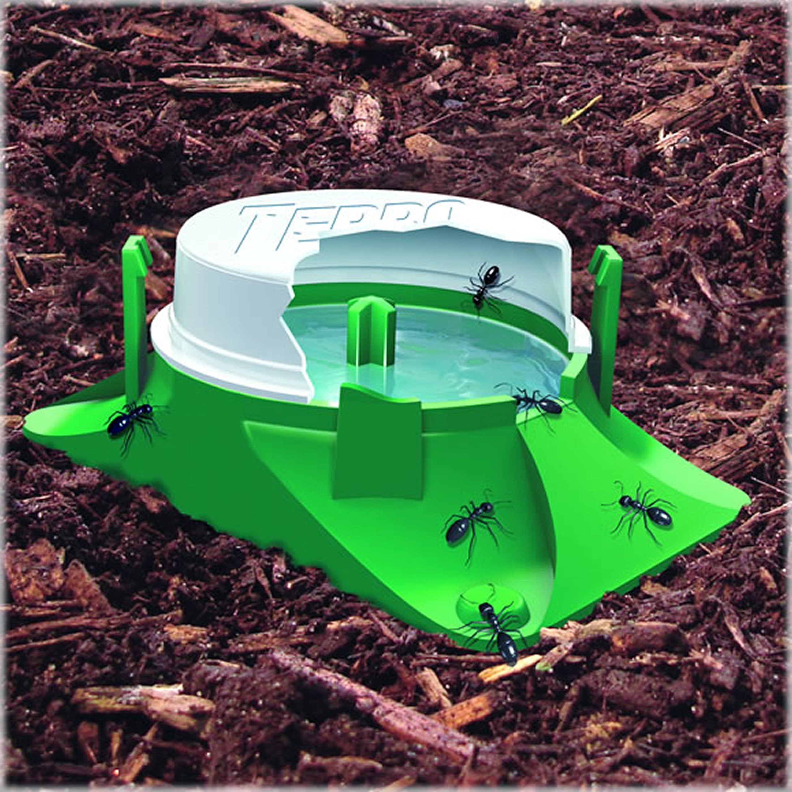 TERRO T1804SR concept of ant colony elimination through bait sharing