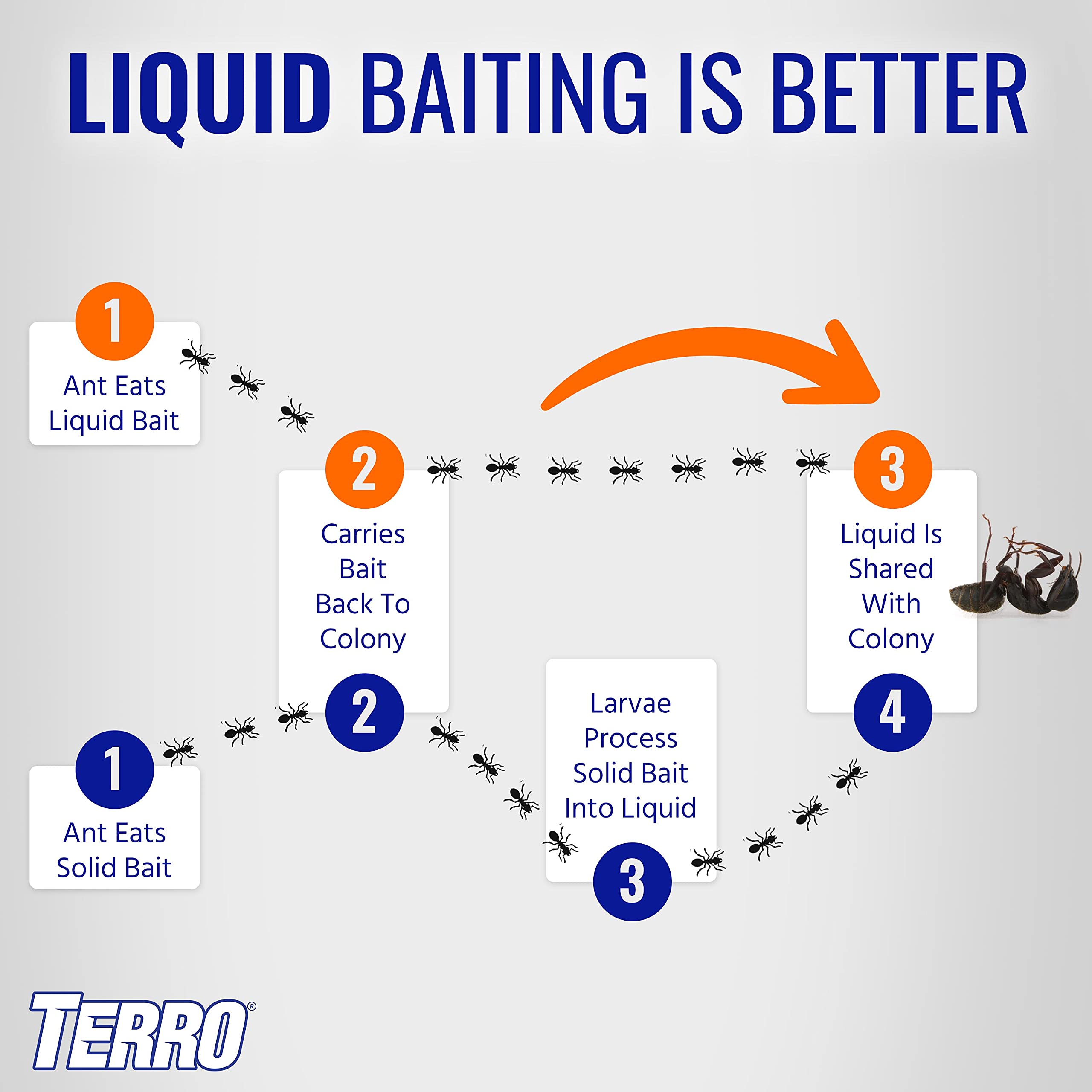 Terro T200-3SR ant trails along baseboard baiting areas.