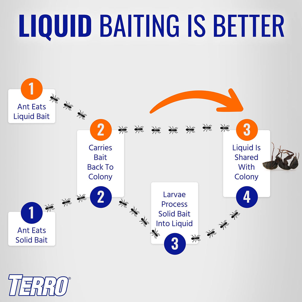 Terro T200-3SR ant trails along baseboard baiting areas.