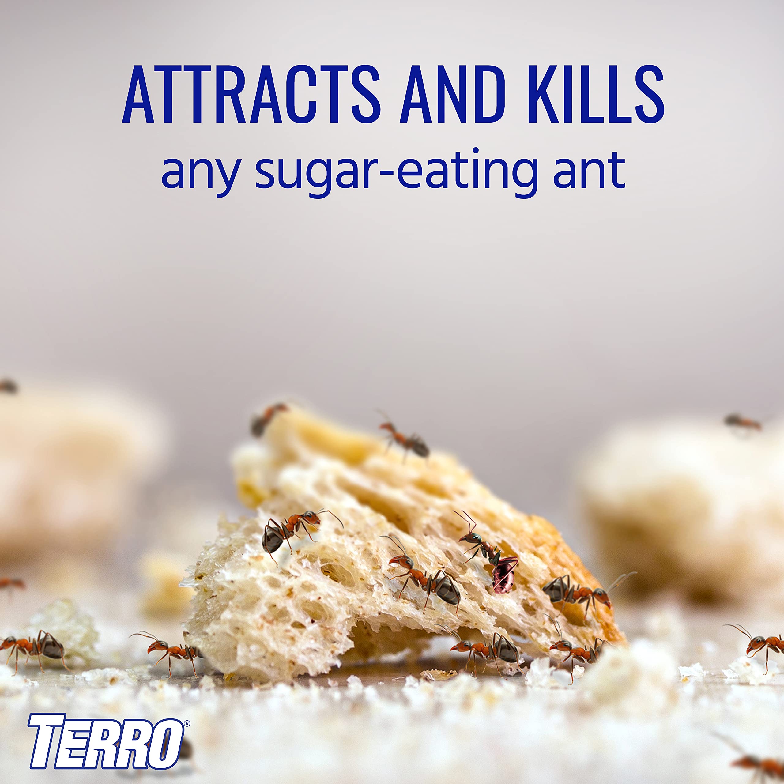 Terro T200-3SR bait attracts ants to kill colony.