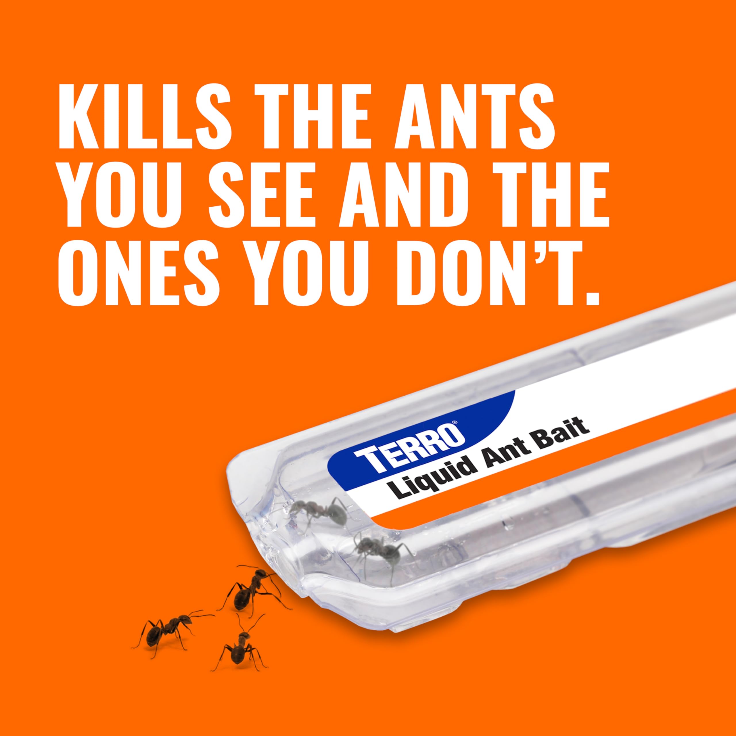 Terro bait on kitchen counter attracts foraging ants.