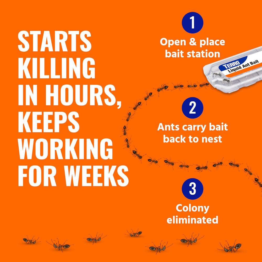 Bait stations on windowsill intercept outdoor ants at entry.