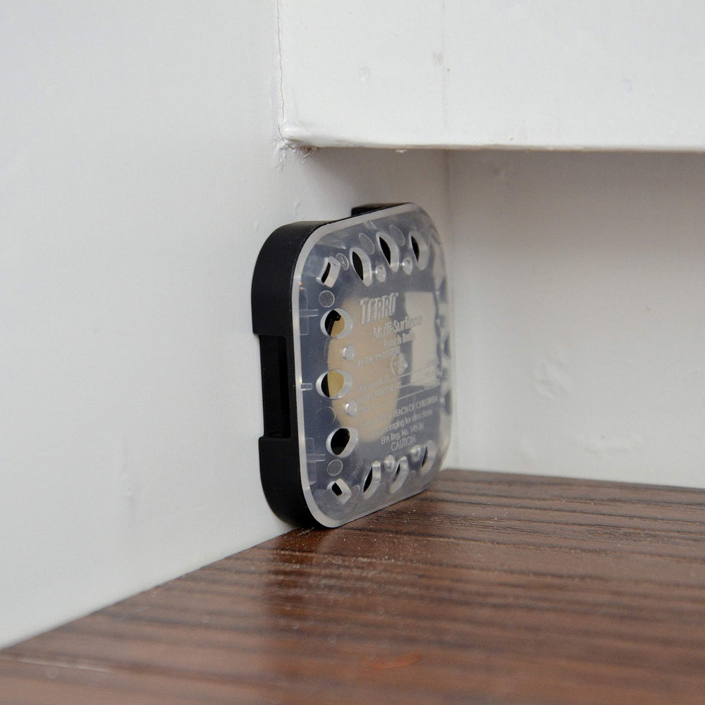 TERRO T500 bait stations attract and kill roaches