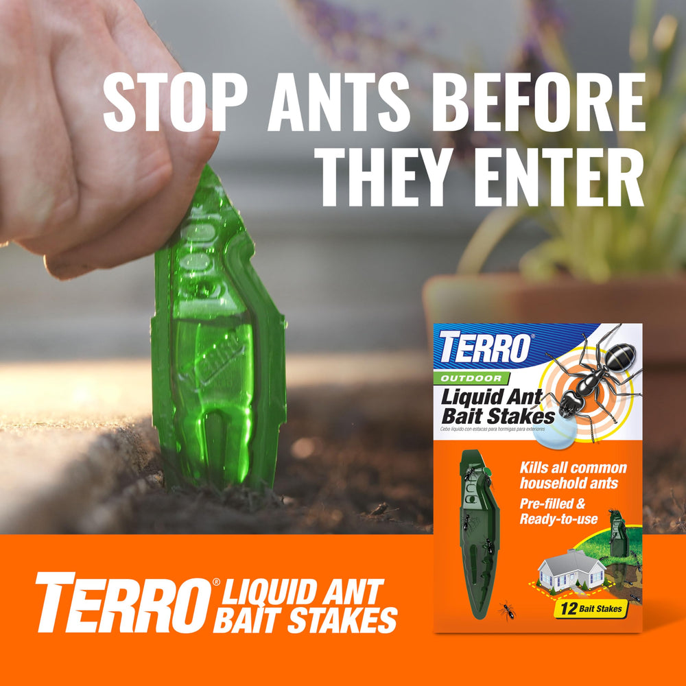 TERRO wall-mount traps placed out of reach.