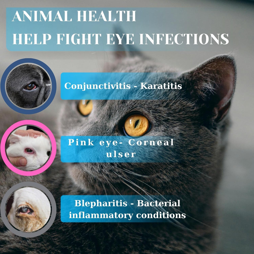 Terrapet Eye Care Ointment being gently applied to a dog's eye area.