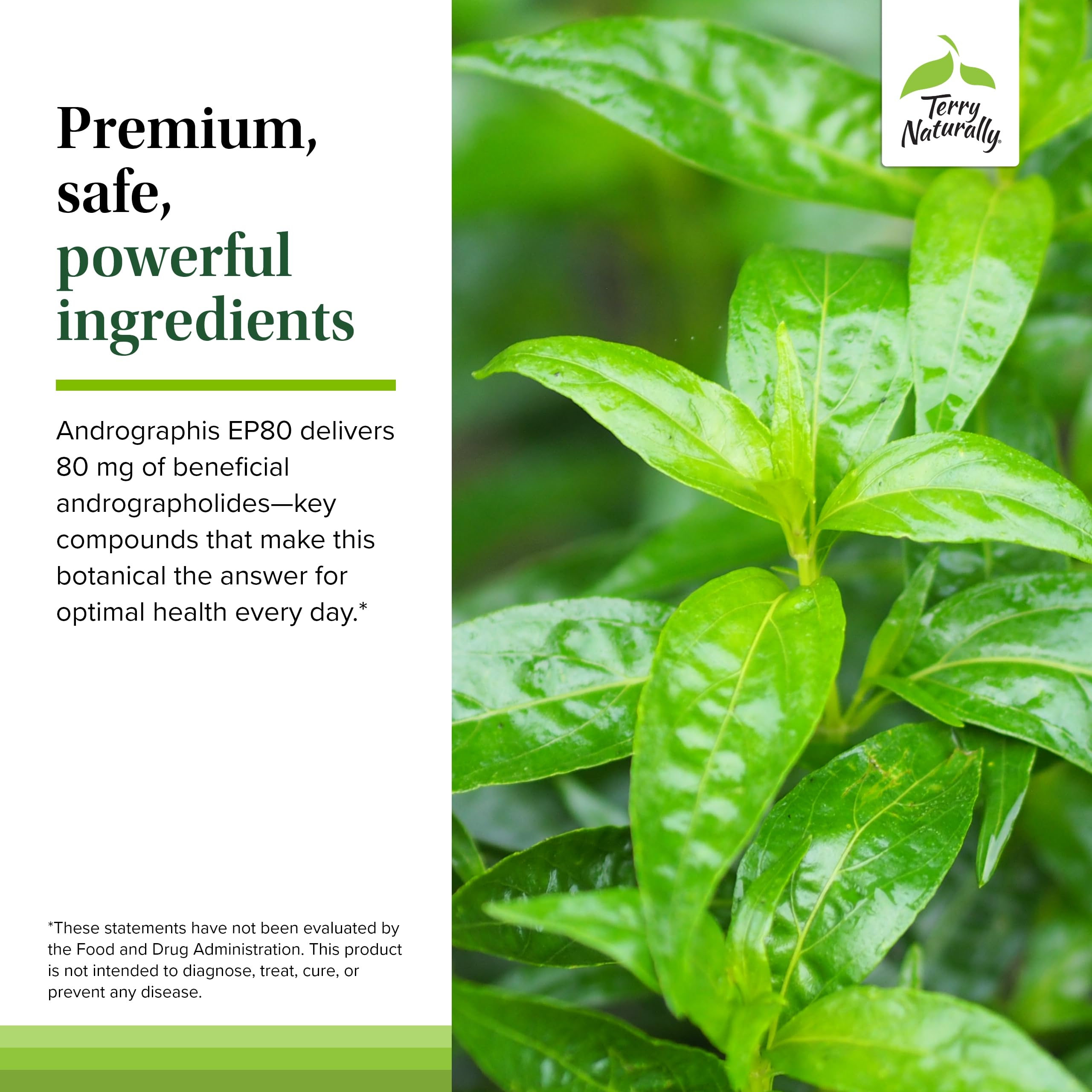 Ingredients panel showing clean, allergen-free composition.