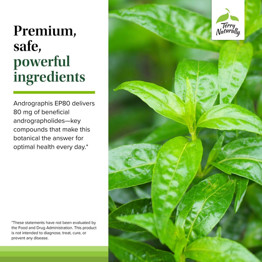 Ingredients panel showing clean, allergen-free composition.