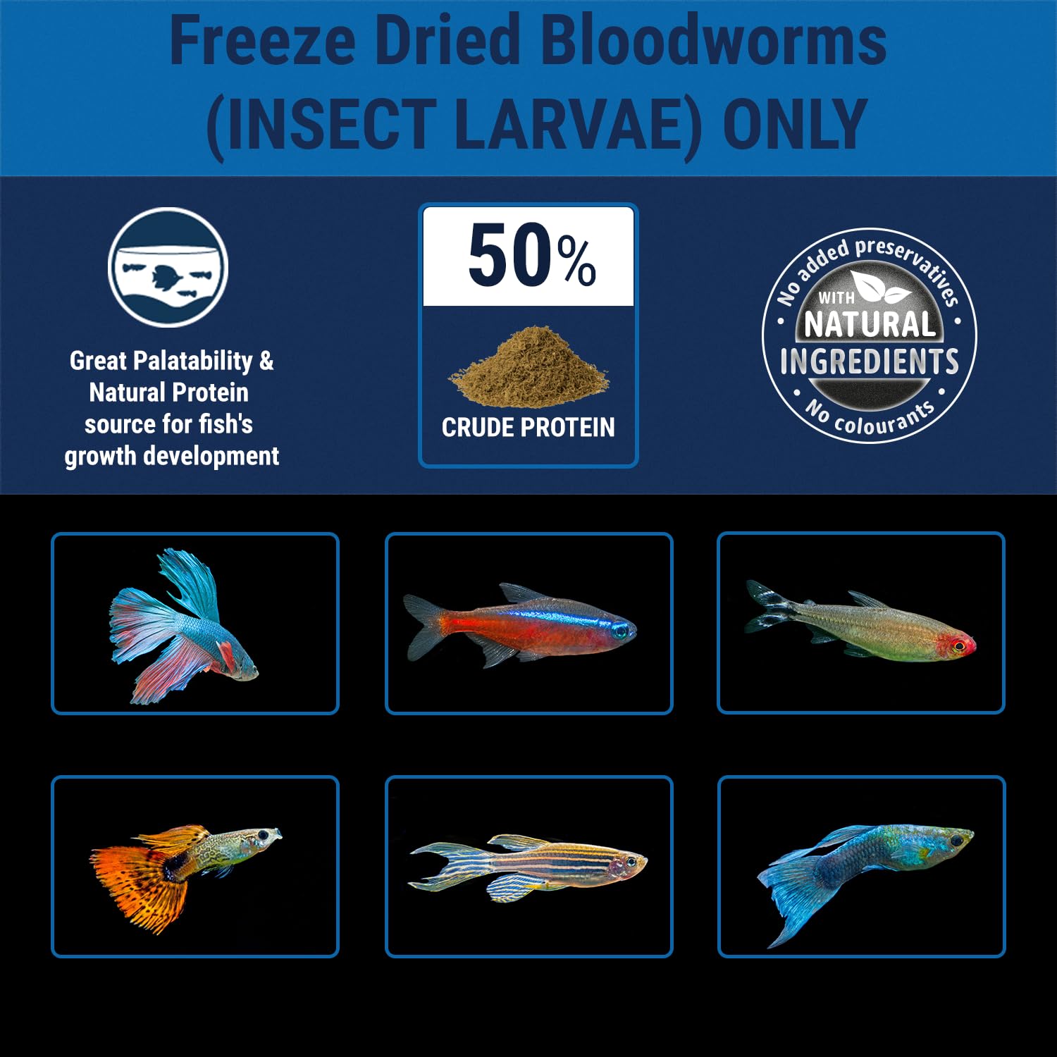 Tetra BloodWorms bettas snack in a tropical aquarium shows a treat for active fish