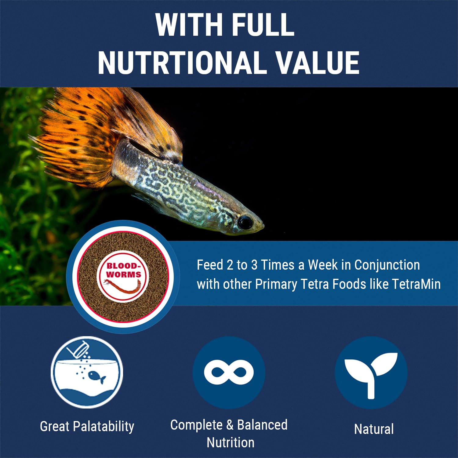 Tetra BloodWorms child-safety lid emphasizes family-friendly storage and reduced spill risk