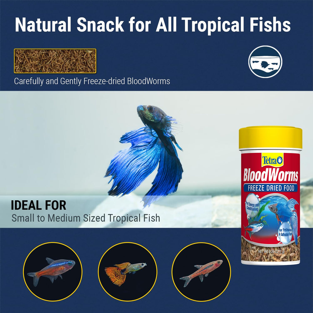 Tetra BloodWorms serving dish showcases portion-friendly feeding for thoughtful tank grazing