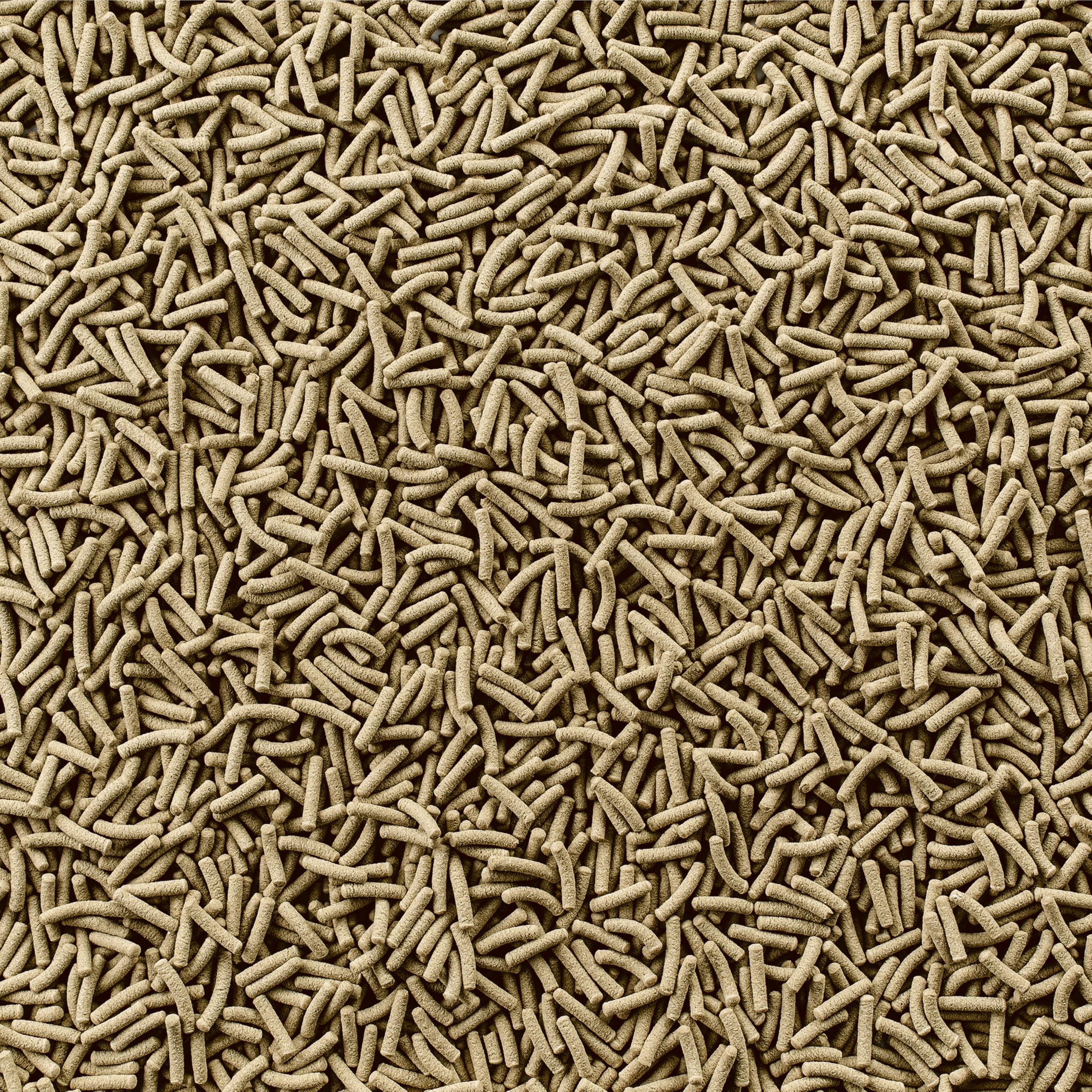 Tetra ReptoMin sticks served in a bowl for easy portioning during feeding.