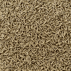 Tetra ReptoMin sticks served in a bowl for easy portioning during feeding.