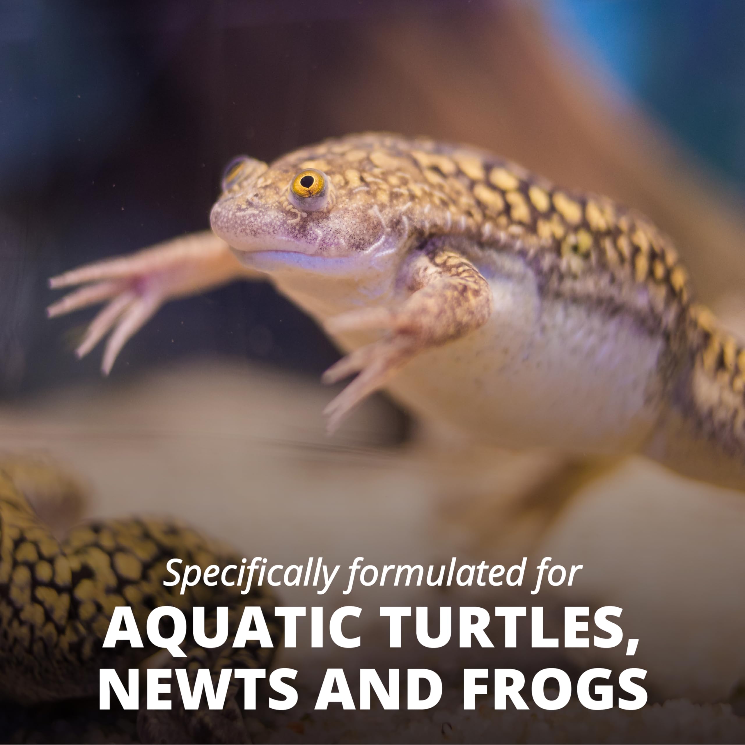 Suitable for turtles, newts and frogs in freshwater tanks.