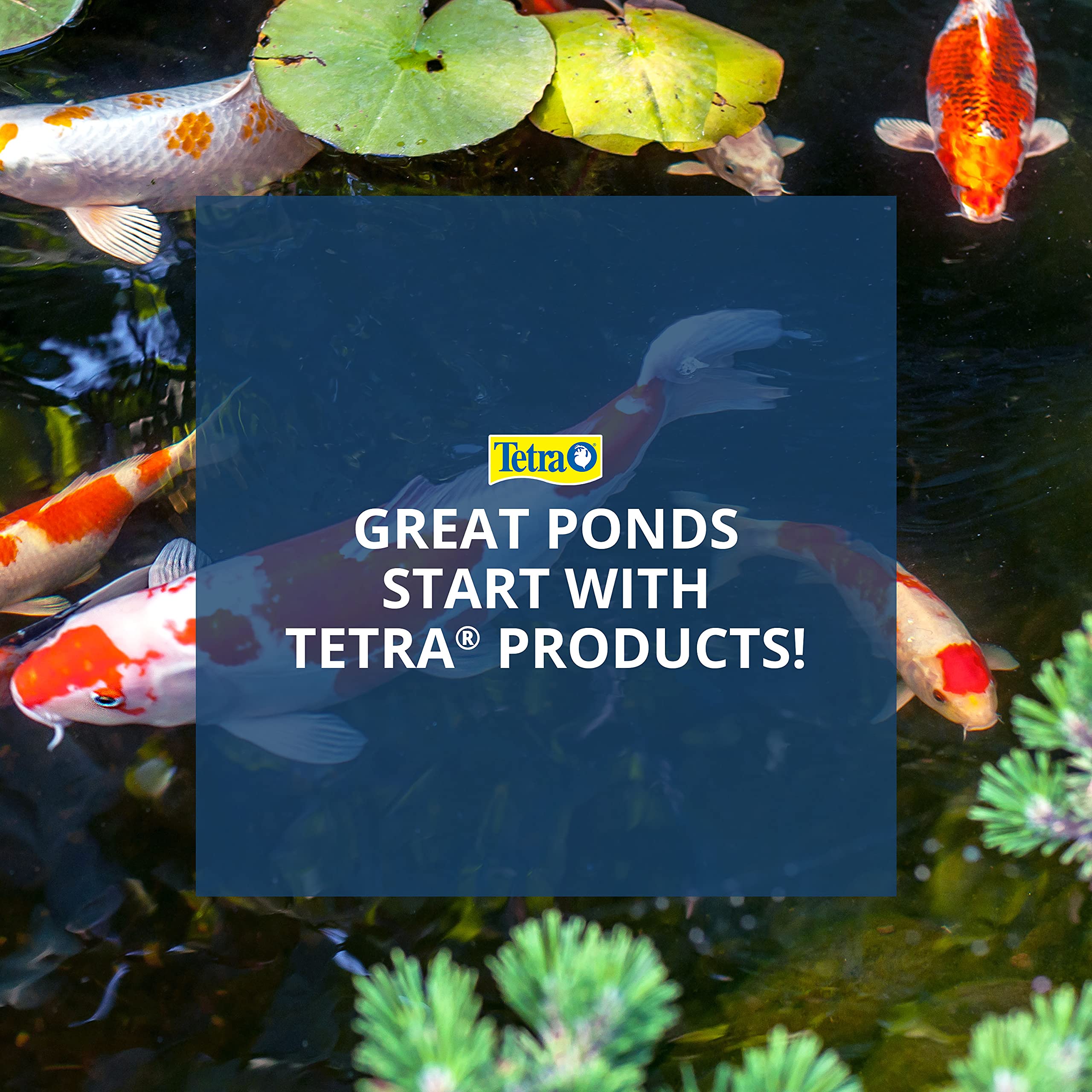 Easy-to-place block enhances turtle habitat in the tank.