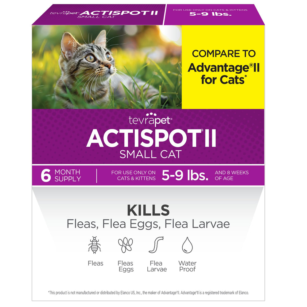 TevraPet Actispot II bottle ready for use, providing up to 30 days of flea protection.