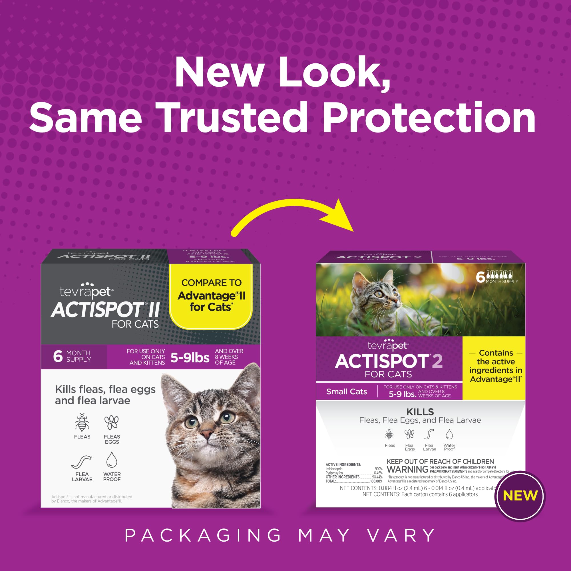 TevraPet Actispot II kills fleas eggs and larvae lifecycle.