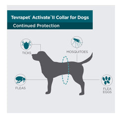TevraPet Activate II waterproof collar closeup in rain