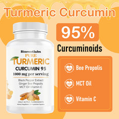 TEYAOE Biorootlabs turmeric 95% curcuminoids bottle highlights potent antioxidant potential.