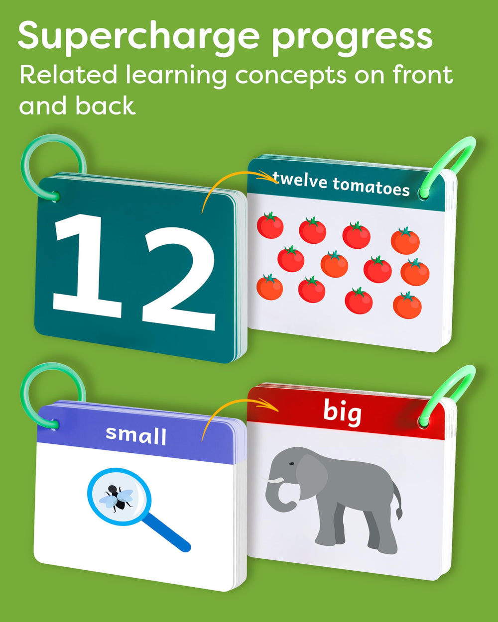 The Bambino Tree big small opposites card pairs concepts for visual comparison.