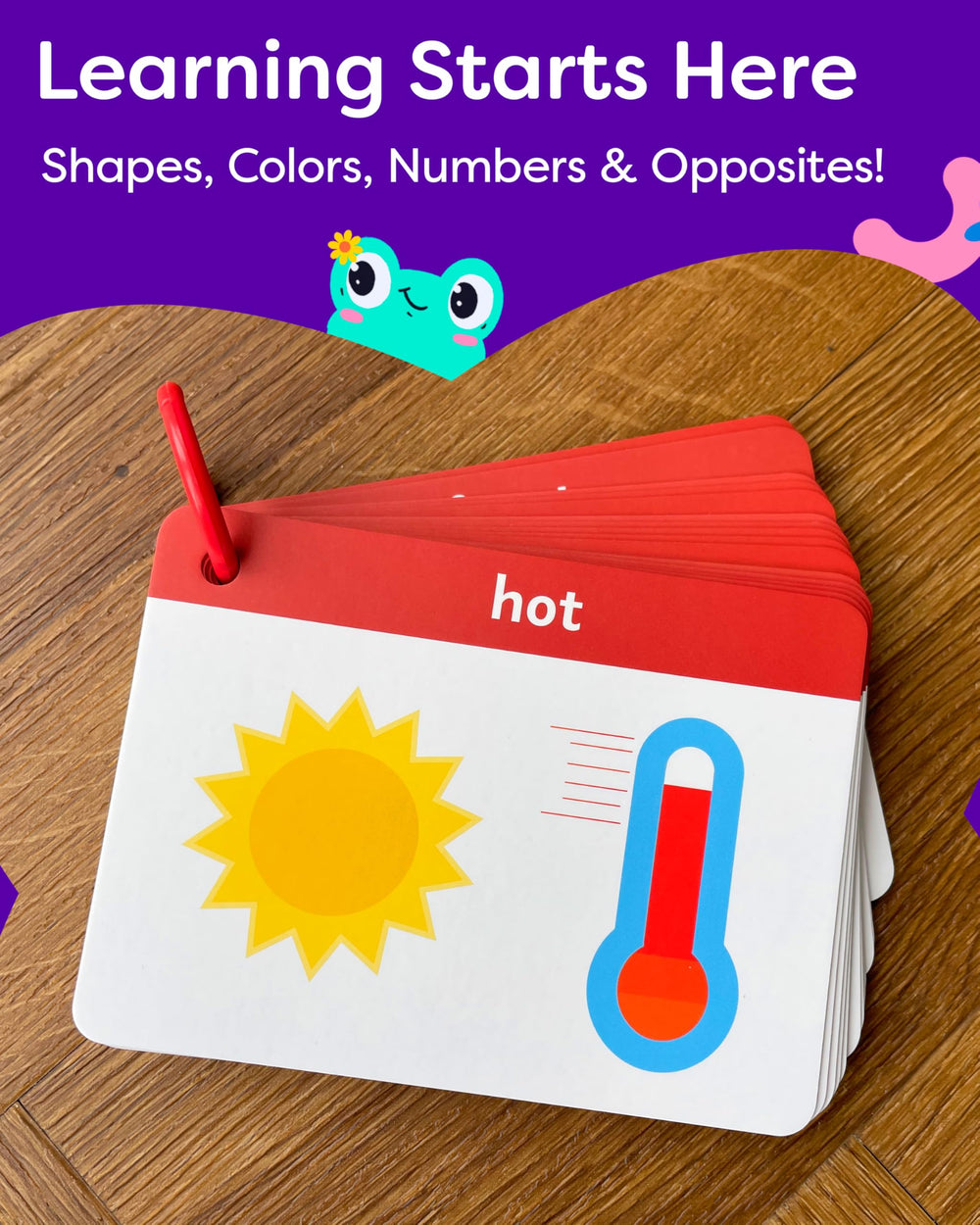 The Bambino Tree jumbo cards suit home and classroom learning.