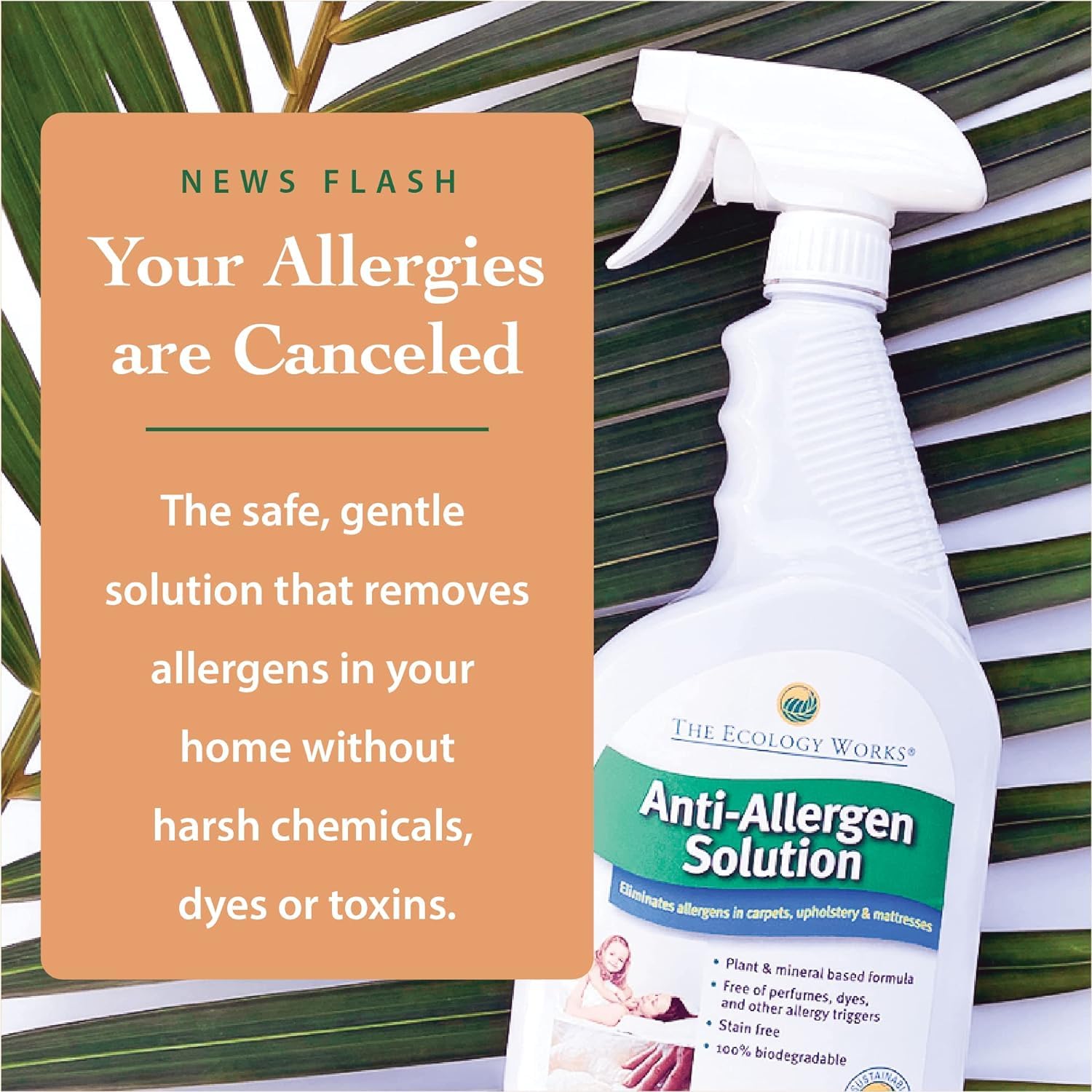 The Ecology Works allergy spray on upholstery cushions for allergen friendly surfaces