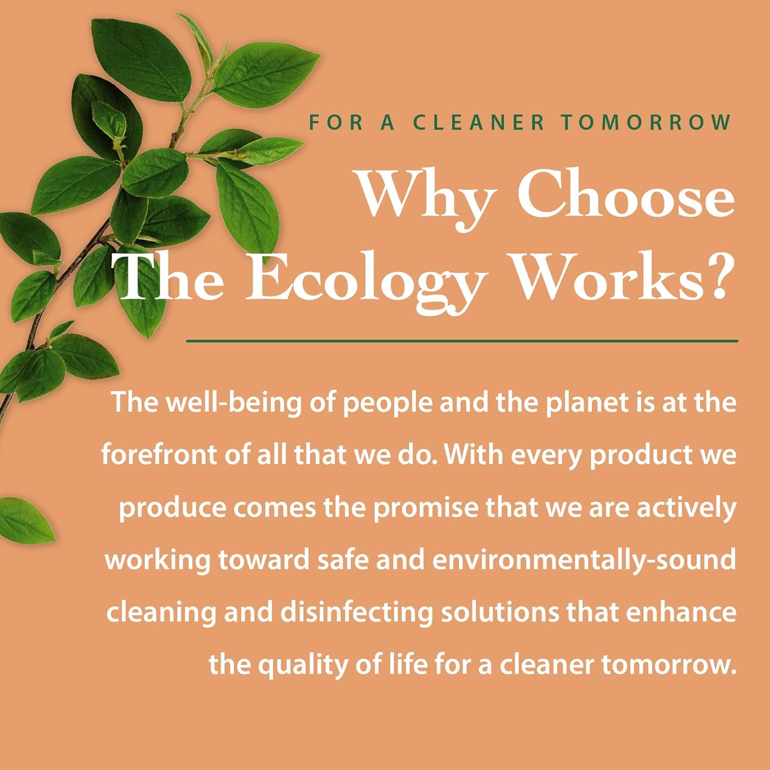 The Ecology Works plant-based formula for dust mite waste control