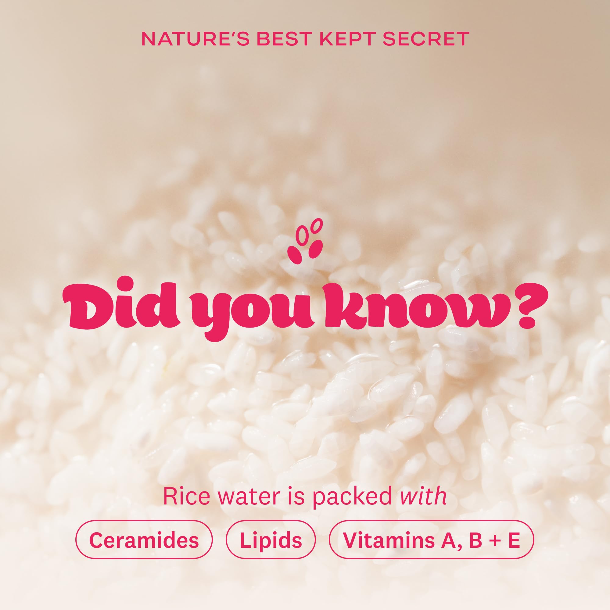 The Face Shop Rice Water Bright Korean skincare heritage packaging and branding.