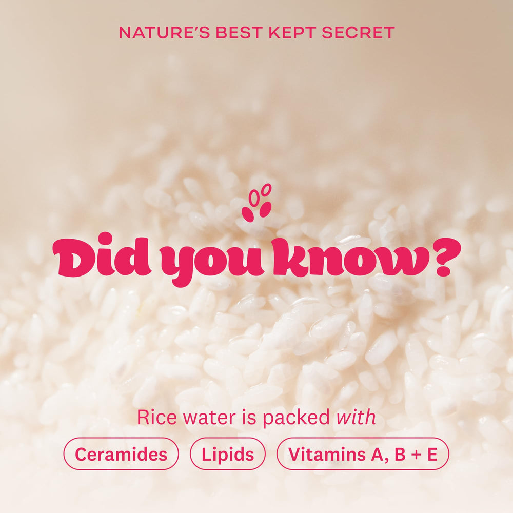 The Face Shop Rice Water Bright Korean skincare heritage packaging and branding.