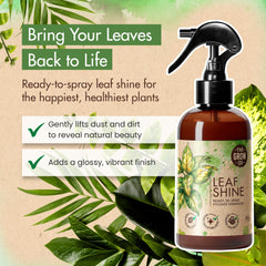 The Grow Co Leaf Shine on leaves highlights natural sheen and vibrant color.