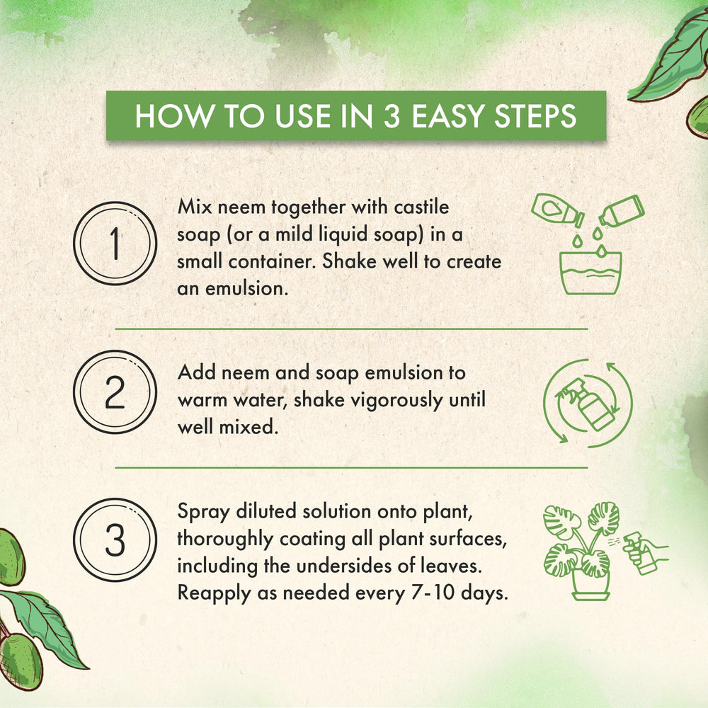 The Grow Co neem oil used in DIY cosmetic projects.
