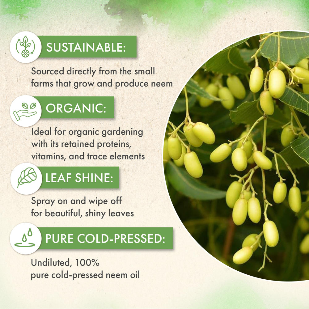 The Grow Co neem oil applied to outdoor garden foliage.