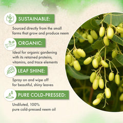 The Grow Co neem oil applied to outdoor garden foliage.