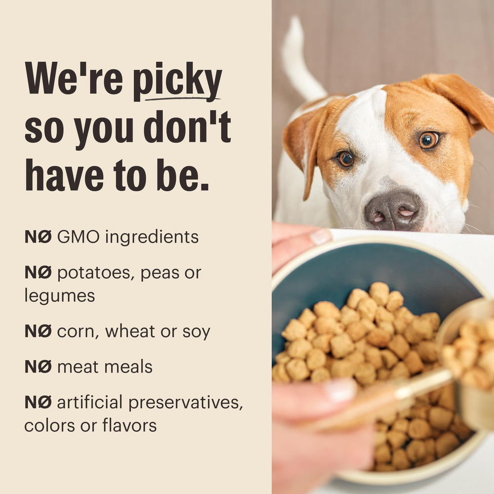 Serving Honest Kitchen dry food for adult dogs every day