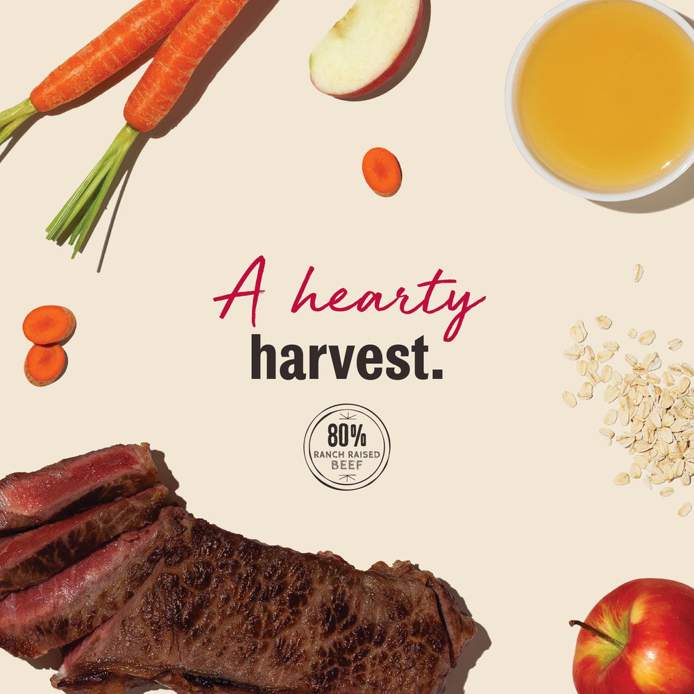 The Honest Kitchen Jerky Harvest Mini Bars small-batch roasting flavor, craft quality you can notice.