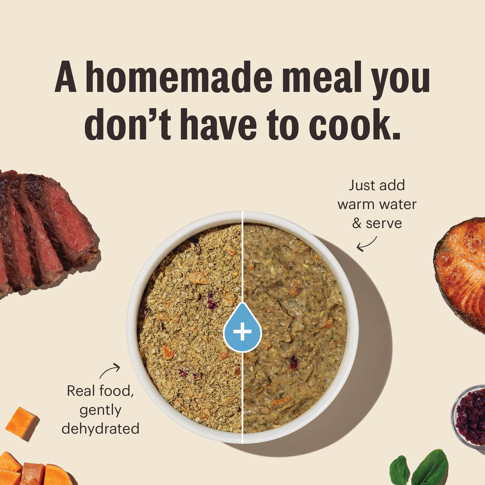 The Honest Kitchen Wholemade puppy and adult bowls image emphasizes universal nutrition for all life stages.
