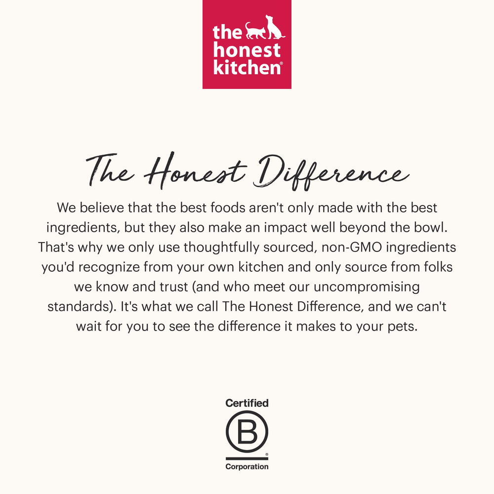 The Honest Kitchen Wholemade serving dish scene showcases easy portioning and meal prep.