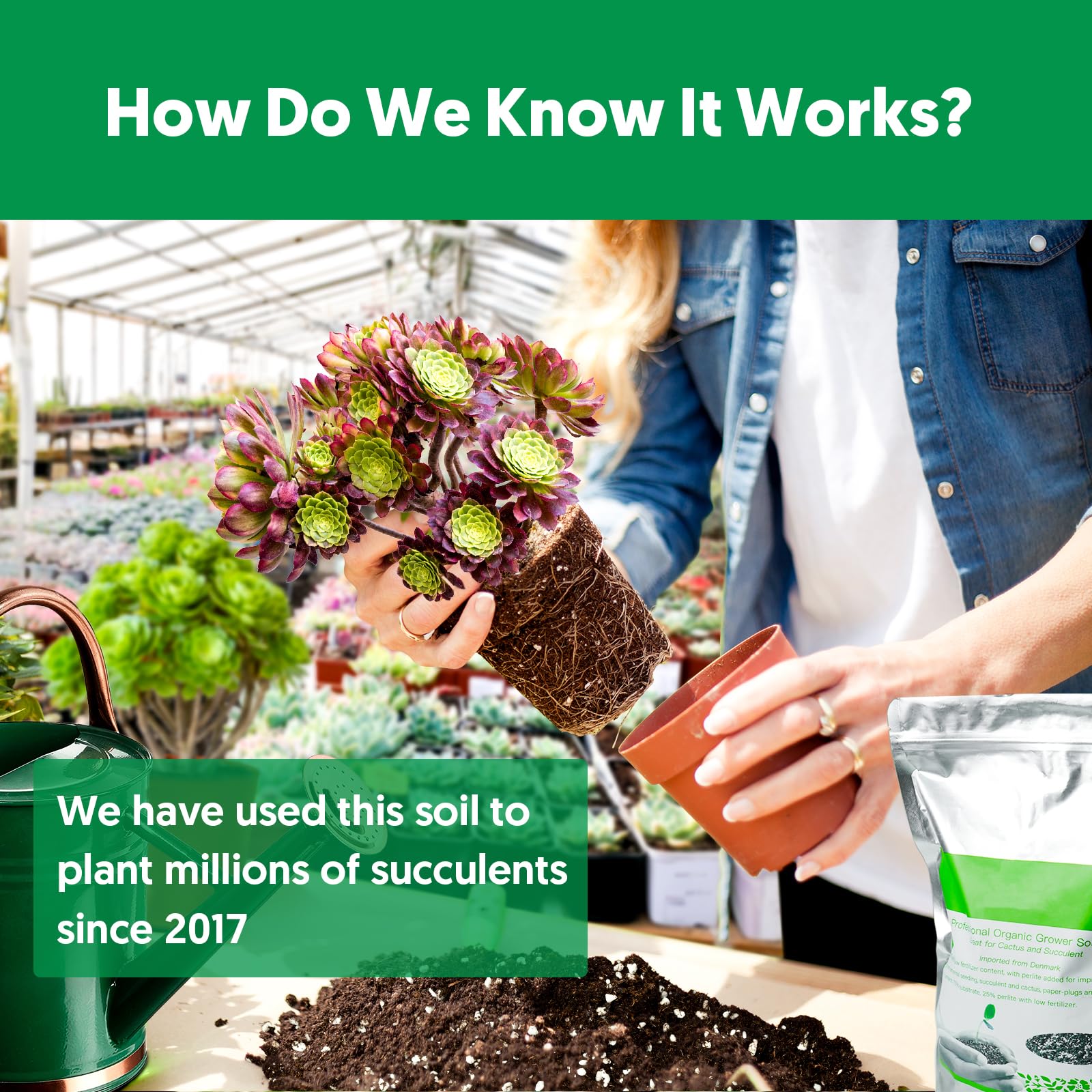 The Next Gardener fast-drain soil encourages proper moisture balance in containers.
