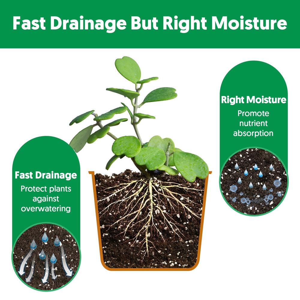 The Next Gardener peat moss-perlite ratio fosters airy roots and resilient young plants.