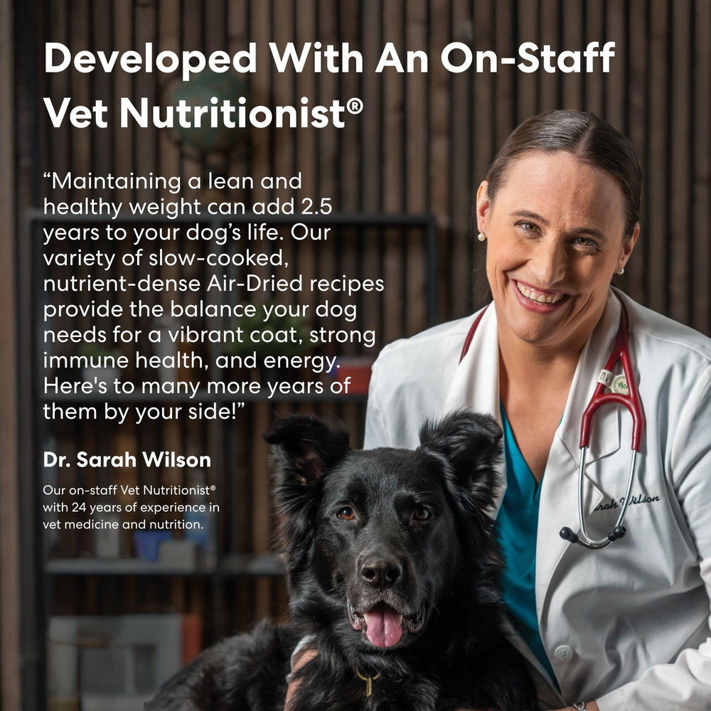 The Pets Table Beef and Berries nutrition closeup with protein and superfoods