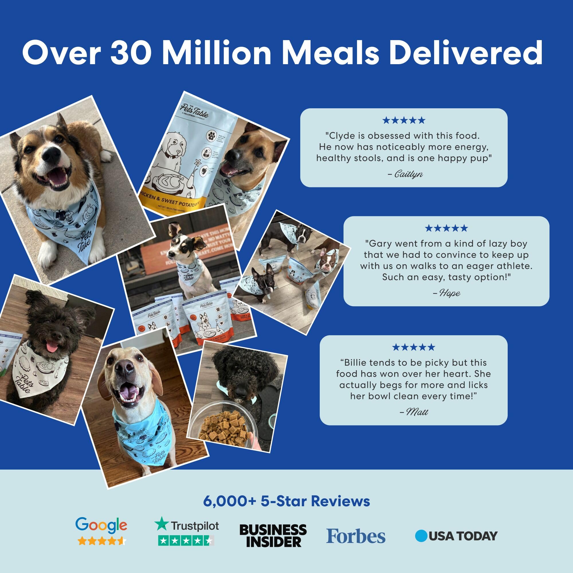 The Pets Table Beef and Berries suitable for picky eaters