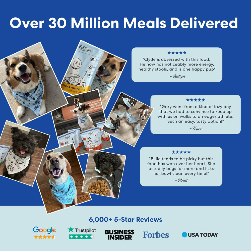 The Pets Table Beef and Berries suitable for picky eaters