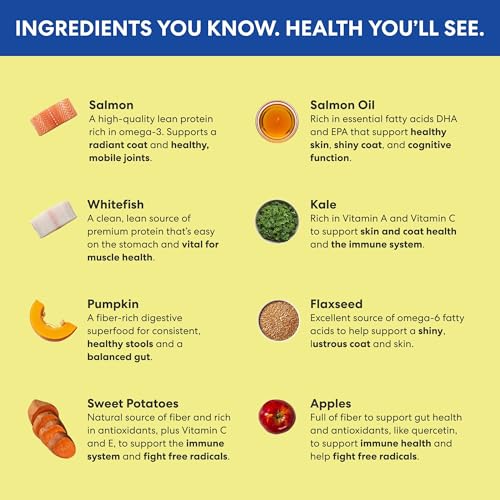 The Pets Table wild-caught salmon ingredients close-up, omega-3 rich profile.