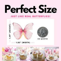 The Pretty Cake Shop glitter sachet and edible butterflies ready to sparkle on desserts.