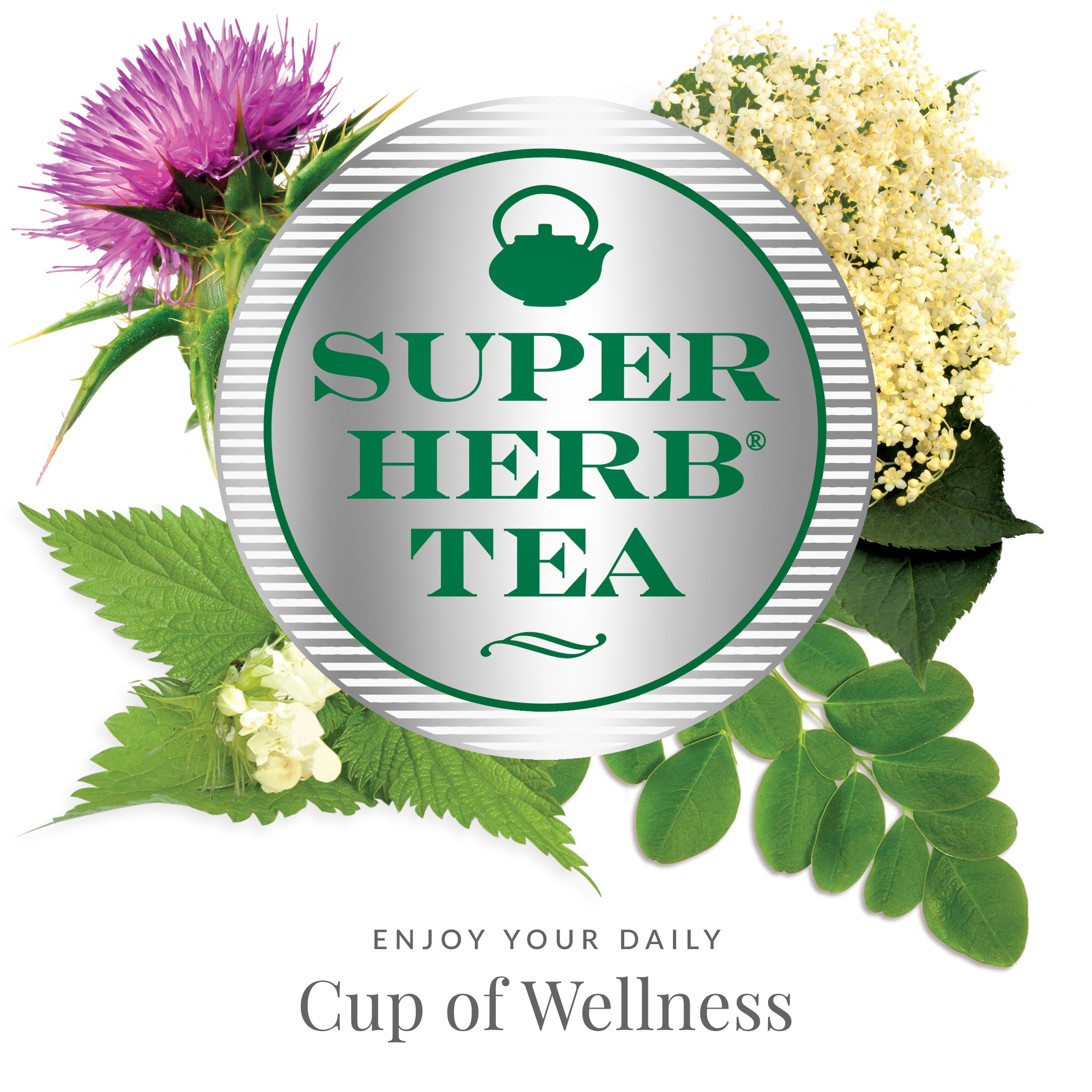 The Republic of Tea compostable tea bags promote garden-friendly disposal after brewing